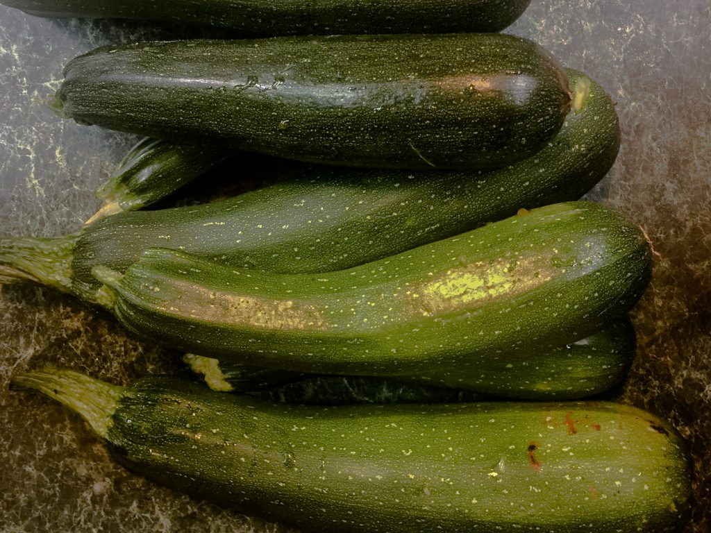 Garden fresh zucchini